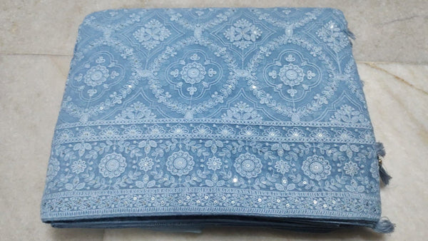 Sky Blue Chiffon Saree with Lucknowi Chikankari Work