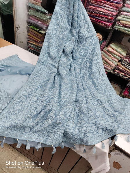 Sky Blue Chiffon Saree with Lucknowi Chikankari Work