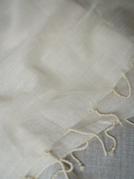 Stardust Handloom Woven Lightweight Cotton Sarees