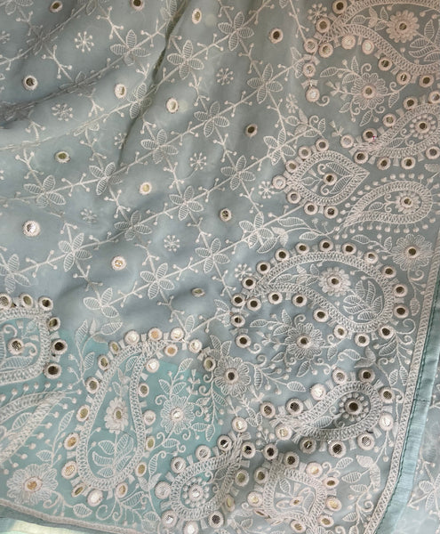 Sky Blue and White Pure Georgette Chikankari Saree