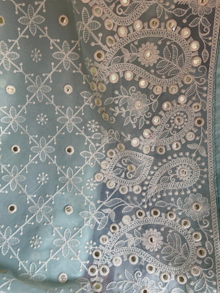 Sky Blue and White Pure Georgette Chikankari Saree