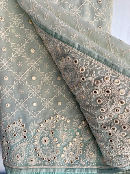 Sky Blue and White Pure Georgette Chikankari Saree