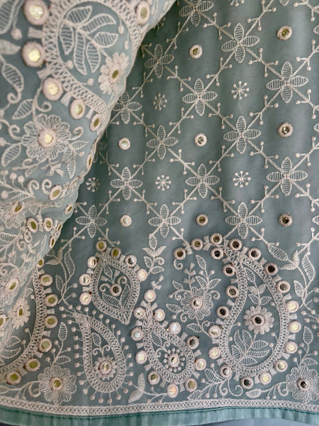 Sky Blue and White Pure Georgette Chikankari Saree