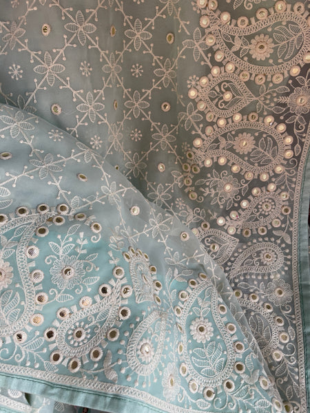 Sky Blue and White Pure Georgette Chikankari Saree