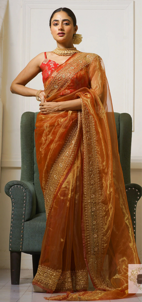 Liquid Gold Glass Tissue Zarina Saree