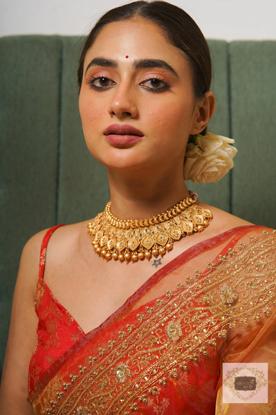 Liquid Gold Glass Tissue Zarina Saree