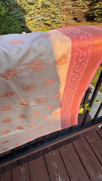 Biscuit and Pink Silk Banarasi Saree