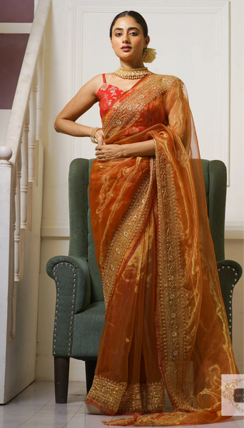 Liquid Gold Glass Tissue Zarina Saree