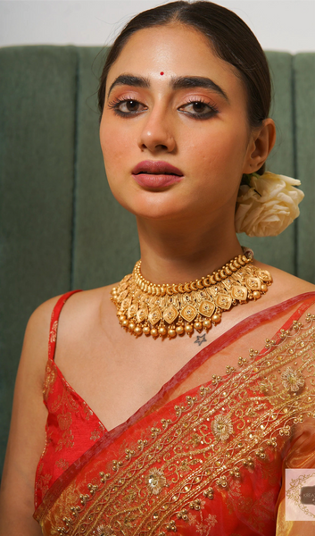 Liquid Gold Glass Tissue Zarina Saree