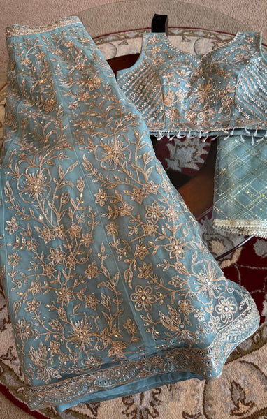 Sky Blue and Silver Embroidered Net Lehenga