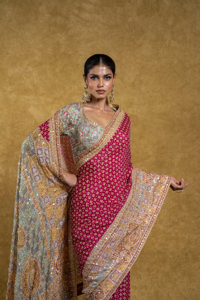 Rani Pink and Pastel Multicolor Border Saree