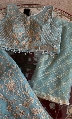 Sky Blue and Silver Embroidered Net Lehenga