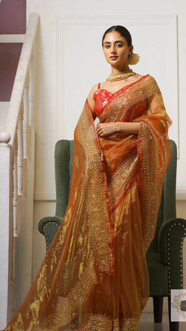 Liquid Gold Glass Tissue Zarina Saree
