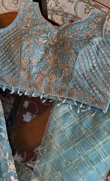 Sky Blue and Silver Embroidered Net Lehenga