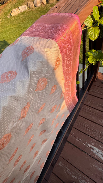 Biscuit and Pink Silk Banarasi Saree
