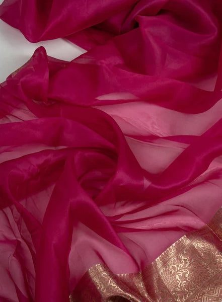 Rani Pink and Gold Banarasi Pure Silk Organza Saree