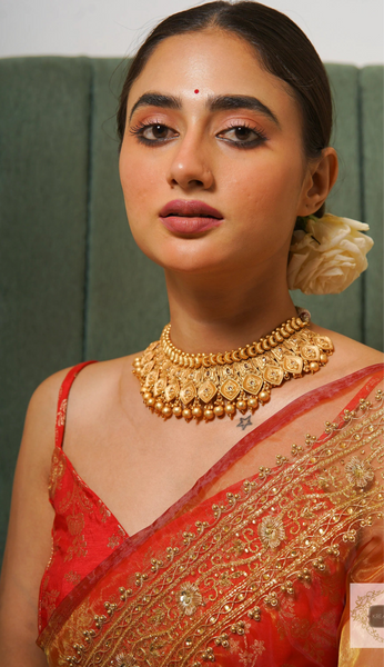 Liquid Gold Glass Tissue Zarina Saree