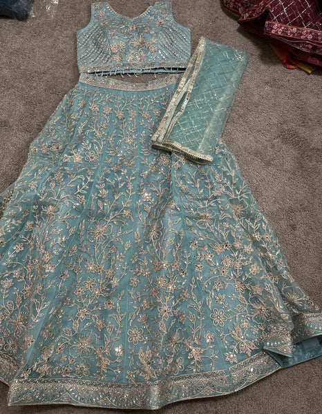 Sky Blue and Silver Embroidered Net Lehenga