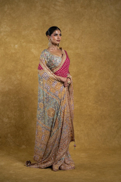 Rani Pink and Pastel Multicolor Border Saree