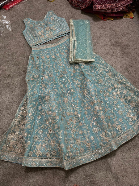 Sky Blue and Silver Embroidered Net Lehenga