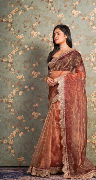 Golden Chocolate Glass Tissue Mehraab Border Saree