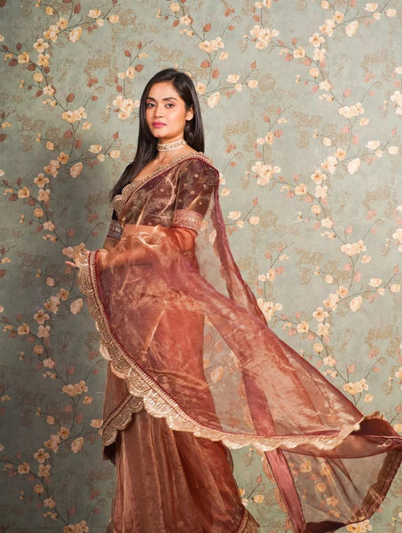 Golden Chocolate Glass Tissue Mehraab Border Saree