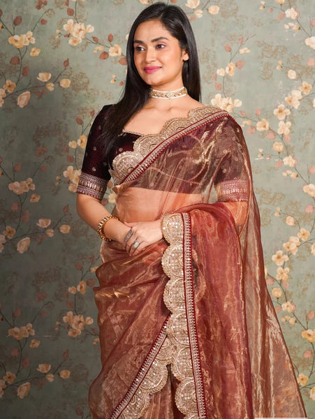 Golden Chocolate Glass Tissue Mehraab Border Saree