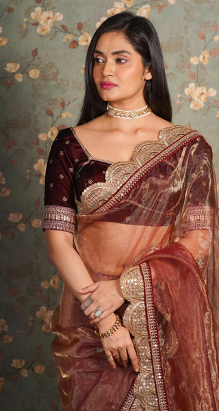 Golden Chocolate Glass Tissue Mehraab Border Saree