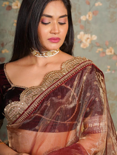 Golden Chocolate Glass Tissue Mehraab Border Saree