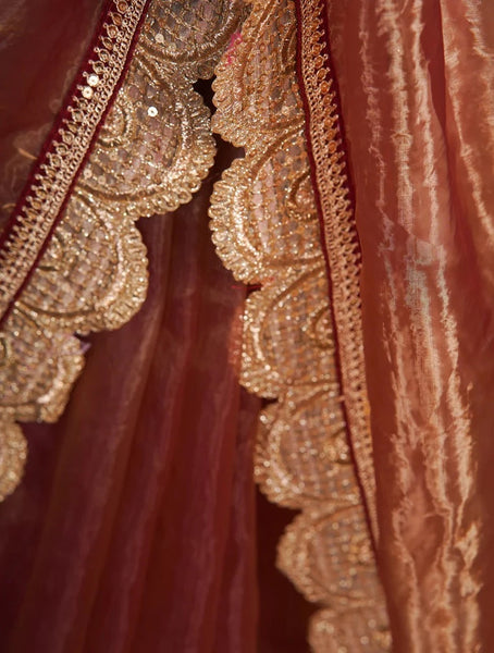 Golden Chocolate Glass Tissue Mehraab Border Saree