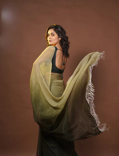 Aam Panna Crushed Organza Ombré Saree