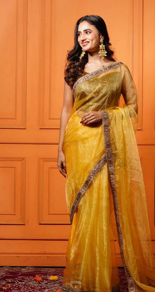Golden Glass Tissue Saree with Border