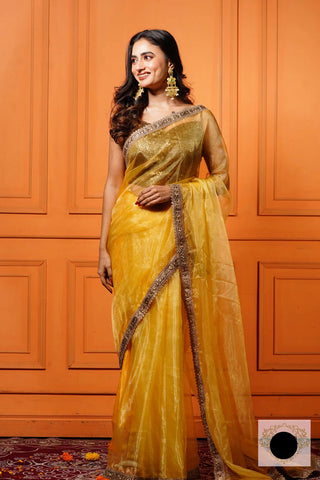 Golden Glass Tissue Saree with Border