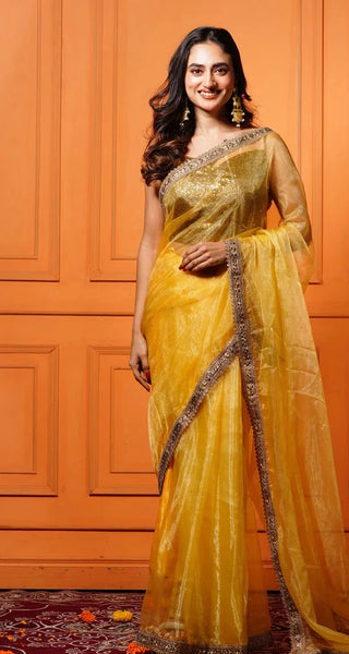 Golden Glass Tissue Saree with Border