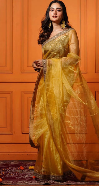 Golden Glass Tissue Saree with Border