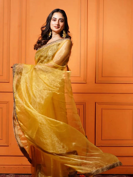 Golden Glass Tissue Saree with Border