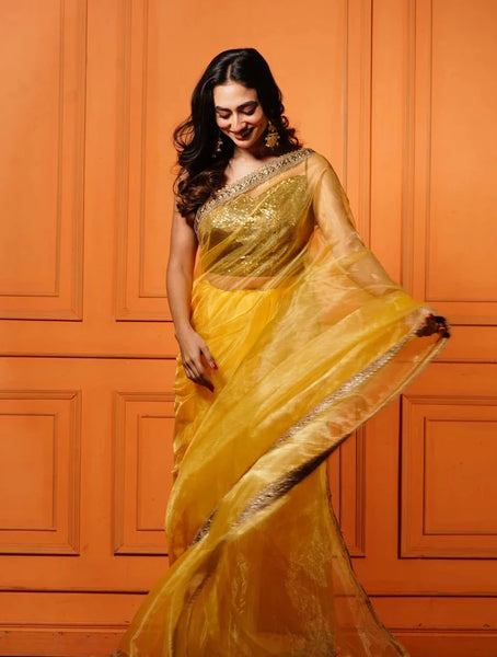Golden Glass Tissue Saree with Border