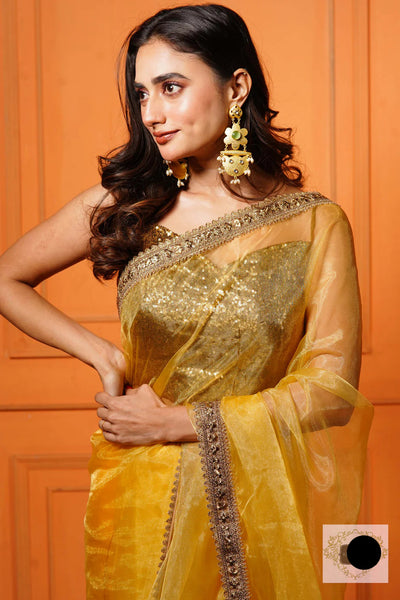 Golden Glass Tissue Saree with Border
