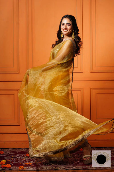Golden Glass Tissue Saree with Border