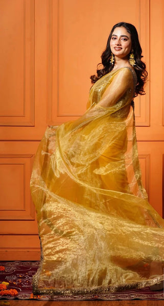 Golden Glass Tissue Saree with Border
