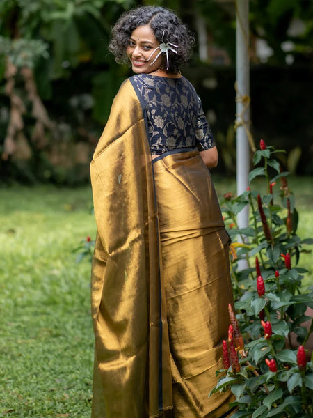 Gold Tissue Silk Saree with Black Piping