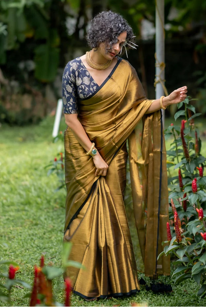 Gold Tissue Silk Saree with Black Piping