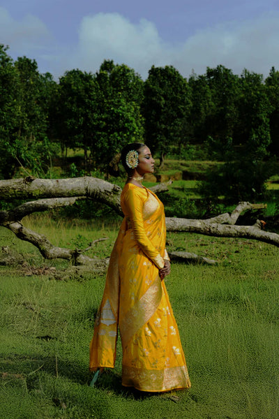 Yellow Handloom Katan Banarasi Saree with Floral Jaal Zari Border and Floral Butis