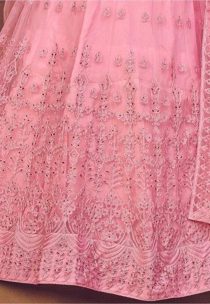 Embroidered Net Lehenga in Light Pink