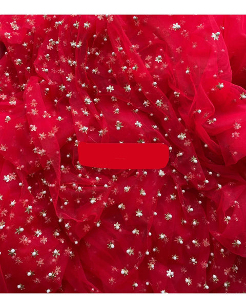 Red Net Silk Saree with Red Brocade Sleeveless Blouse