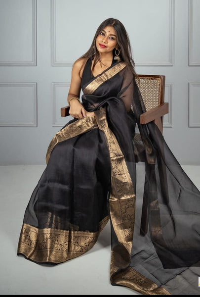 Black and Gold Banarasi Organza Silk Saree