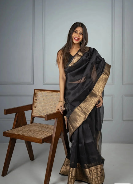 Black and Gold Banarasi Organza Silk Saree