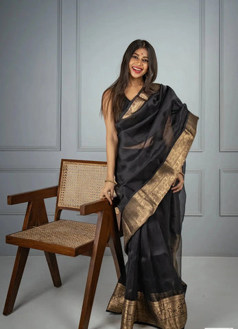 Black and Gold Banarasi Organza Silk Saree