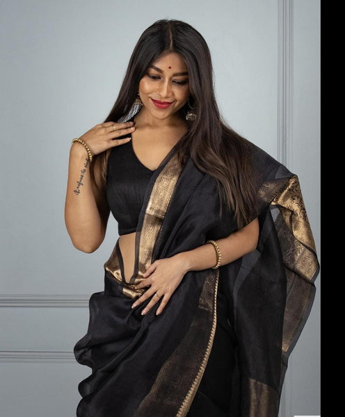 Black and Gold Banarasi Organza Silk Saree