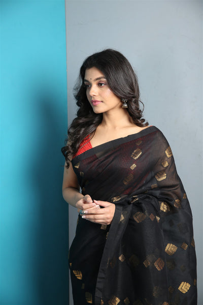 Black Organic Linen Jamdani with Jacquard  Work and Pallu